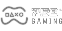 Papara partner logo